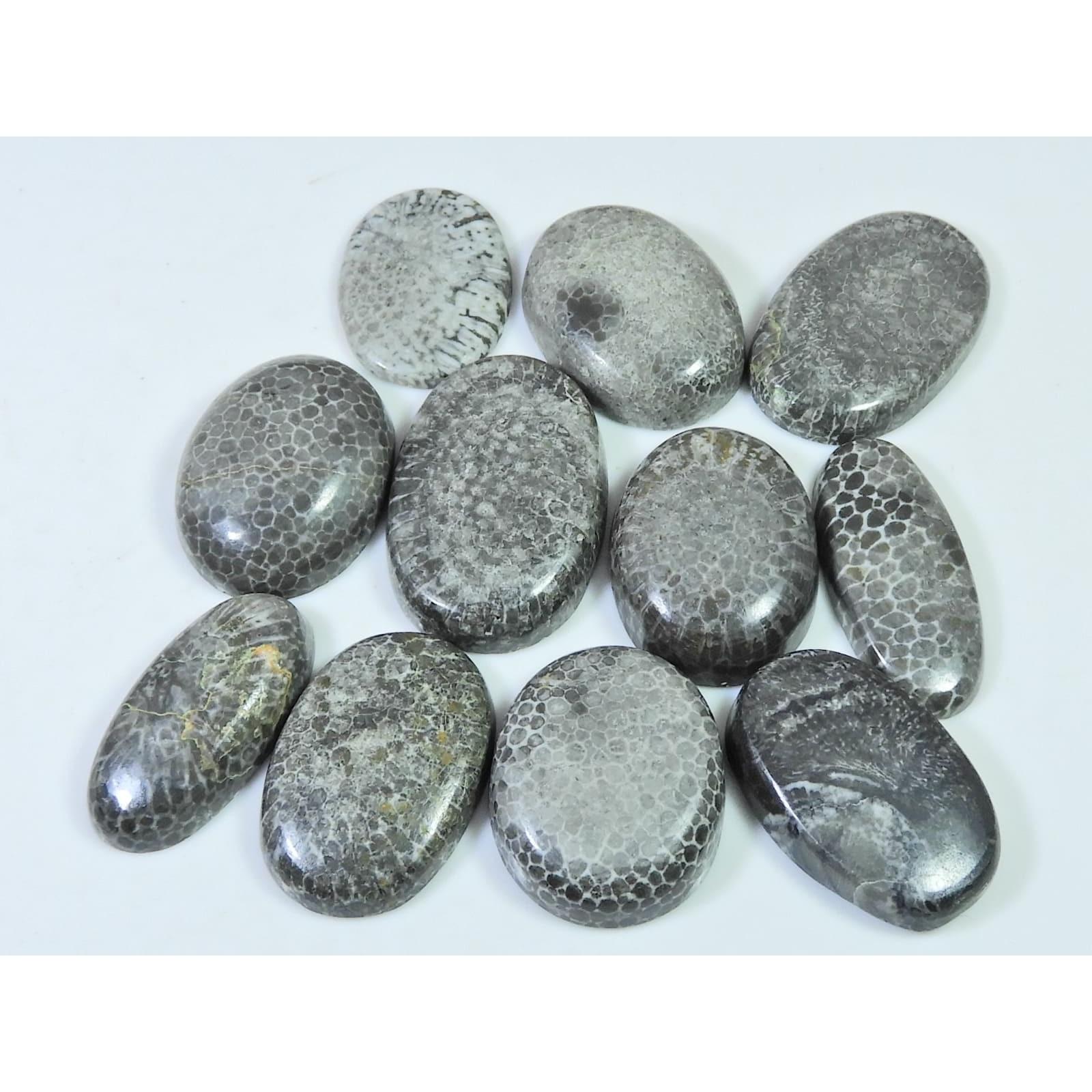 

221Cts. Натуральный черный ископаемый коралл овальный кабошон россыпь драгоценных камней лот 11 шт. C-638