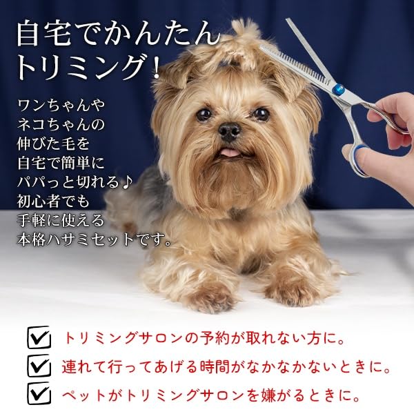 Rise Japan Pet Grooming Scissors Set Curved Rounded High Care Cloth Storage Case Comb (3 Types, Blade, Tip, Safety, Included, Included) - Straight,