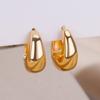 316L Stainless Steel Gold Color Hoop Earrings for Women Oval Circle Earrings Elegant Ear Christmas Jewelry Gift Dropshipping