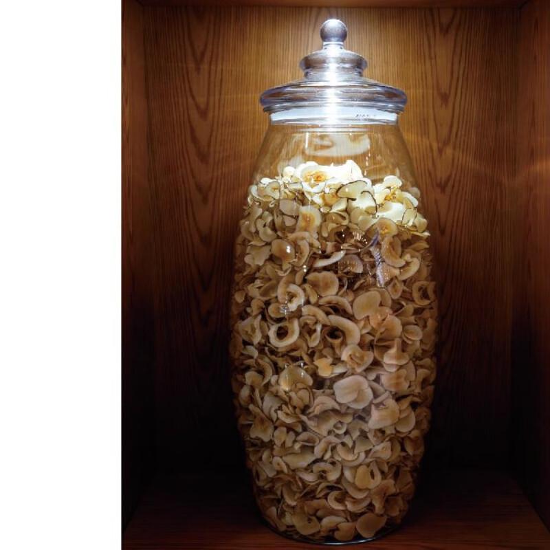 PC Transparent Grain Storage Container