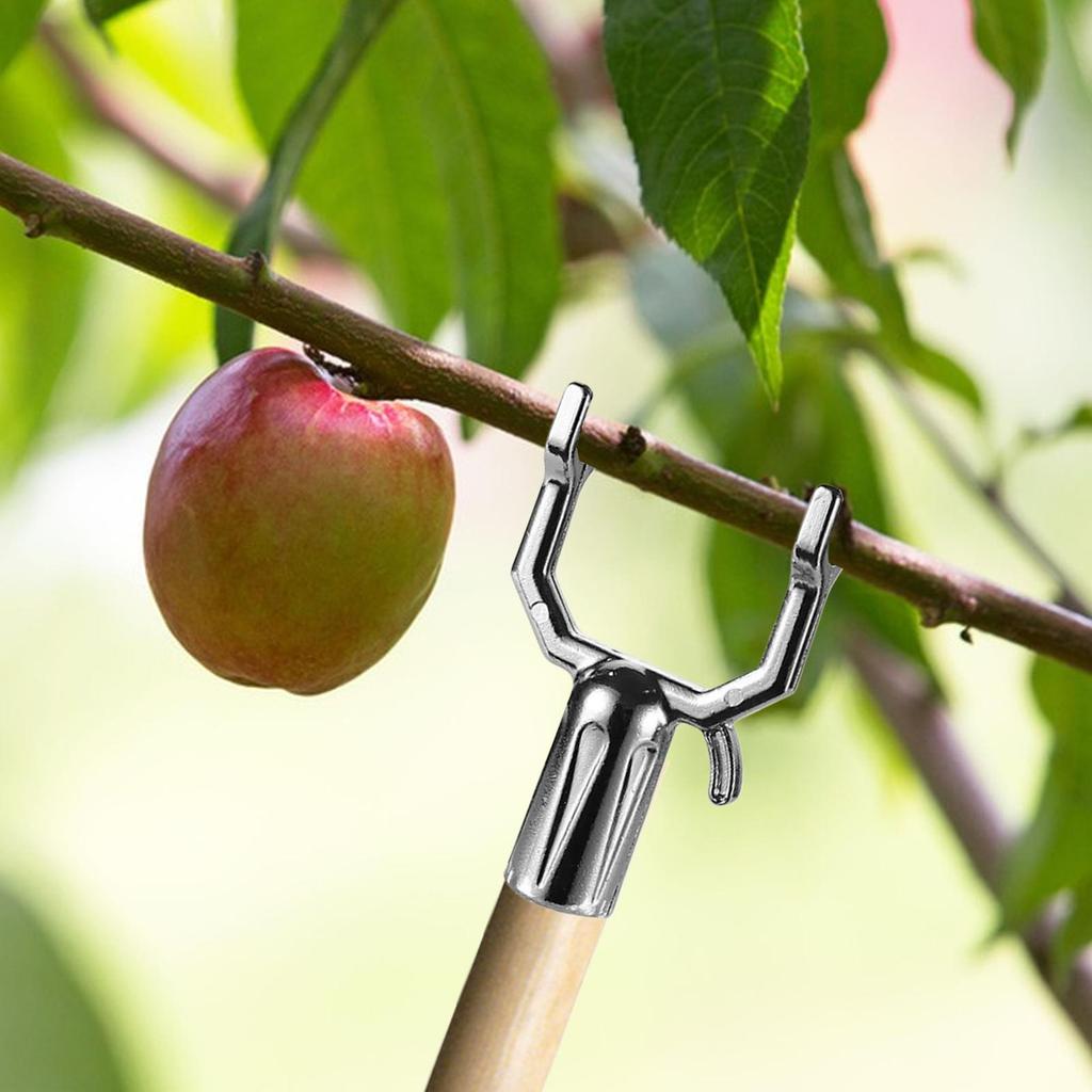 5Pcs Tree Branch Support Tree Limb Holder Fruit Tree Support Stand Black Green Tree Braces For Leaning Trees Plants Reusable