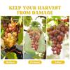 1-100Pcs Fruit Protection Bags Plant Grow Bags Garden Anti-Bird Netting Mesh Bag Vegetable Strawberry Bags Garden Tools Reusable
