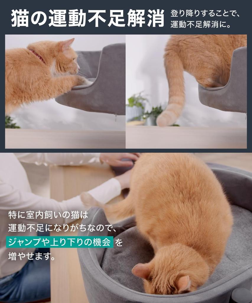 LOE New Idea Cat Arm Cat Bed | Space-Saving, Multi-Cat Friendly, Desk-Mounted Stand