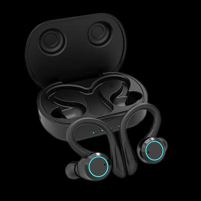 Newmine L10TWS True Wireless Ear-hook Sport Earbuds