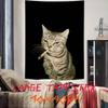Cool Fashion Funny Cool Cat Tapestry Decoration Bedroom Dormitory Background Cloth Holiday Home Party Living Room Club Tapestry