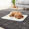 Breathable Cooling Dog Mat Washable Pet Nest Mat Cartoon Pattern Cat Floor Pad  Car Travel