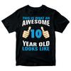 Birthday Gift Kid'S T-Shirt Awesome 10 Year Old Looks Like Boys Tee