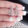New Crystal Pendant Earrings with Zirconia Gorgeous Girls' Wedding Party Fashion Jewelry Light Luxury Personalized