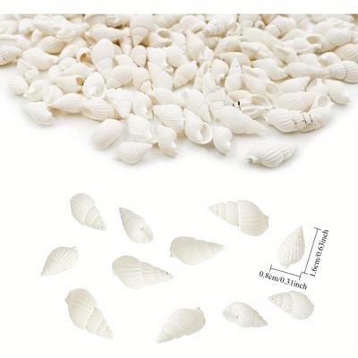 White Clam Cay Sea Shells for Home Decorations Party Wedding DIY Crafts 350pcs Spiral Shape