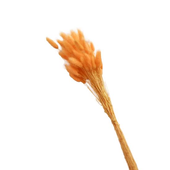 1 Set Dried Flower Bouquet Romantic Easter Celebration Bunny Tail Household Products