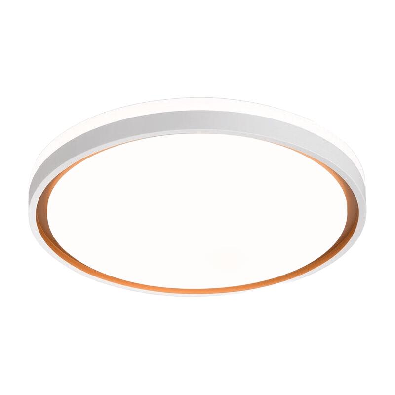 NVC Lemon Dream Nordic LED Ceiling Light