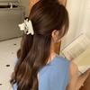 Hairpin Animal Hair Clip Cartoon Dog Shark Clip Personalized Puppy Hair Claw  Daily