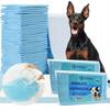 Absorbent Hygiene Pads Changing Mats Mat 60X60 100 Pcs For Dog
