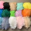Color Ostrich Hair 15-20Cm Ostrich Feather Photo Background Wall Feather Cake Flower Arrangement Diy Decoration