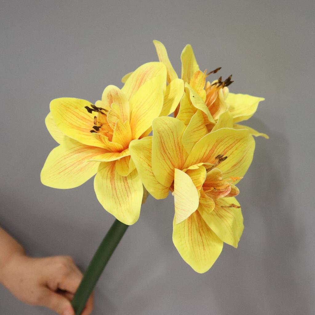 2pcs Artificial Kaffir Lily Flower Branch Real Touch Clivia Stem for Wedding Home Decoration