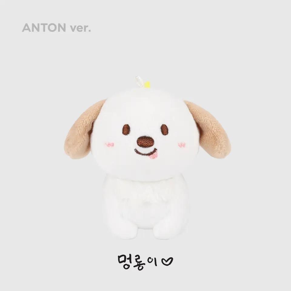 10Cm Kpop Riize Mini Doll Pendant Wonbin Sohee Keychain Valentine'S Day Pop-Up Store Bag Pendant Seungchan Anton Fans Collection