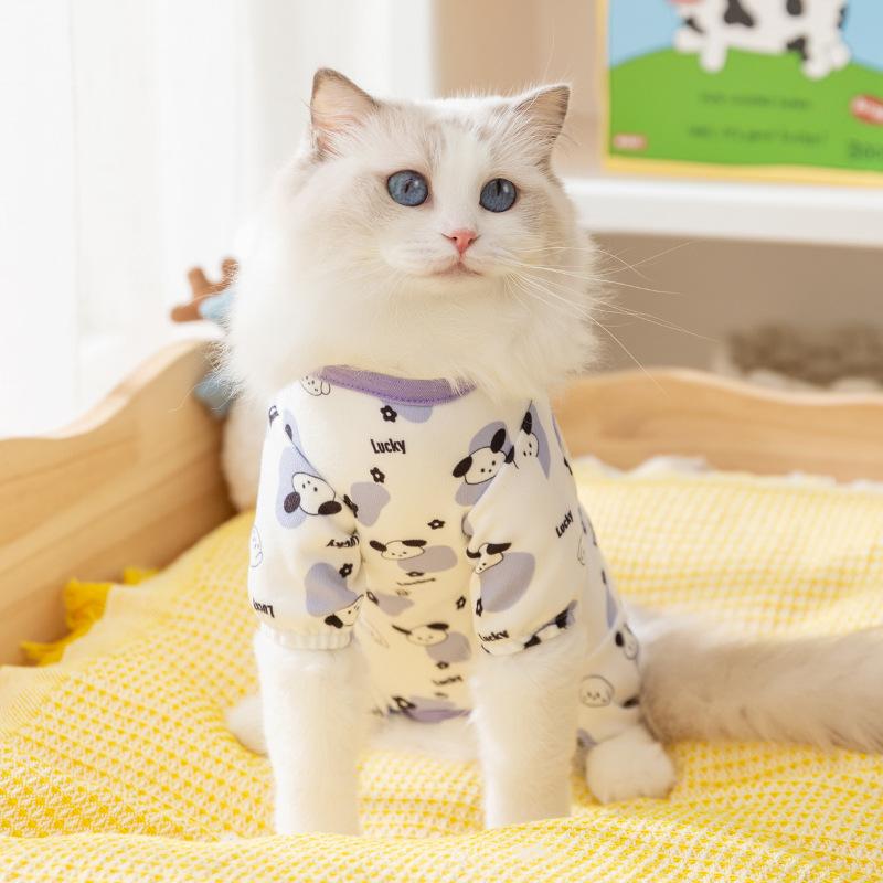 Bear sticker autumn and winter warm cat dog clothes Bigbear puppy hairless cat belly four-legged clothing pet clothing