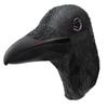 Black Raven Mask Beak Headpiece Scary Animal Mask for Costume Play Easter 1PCS