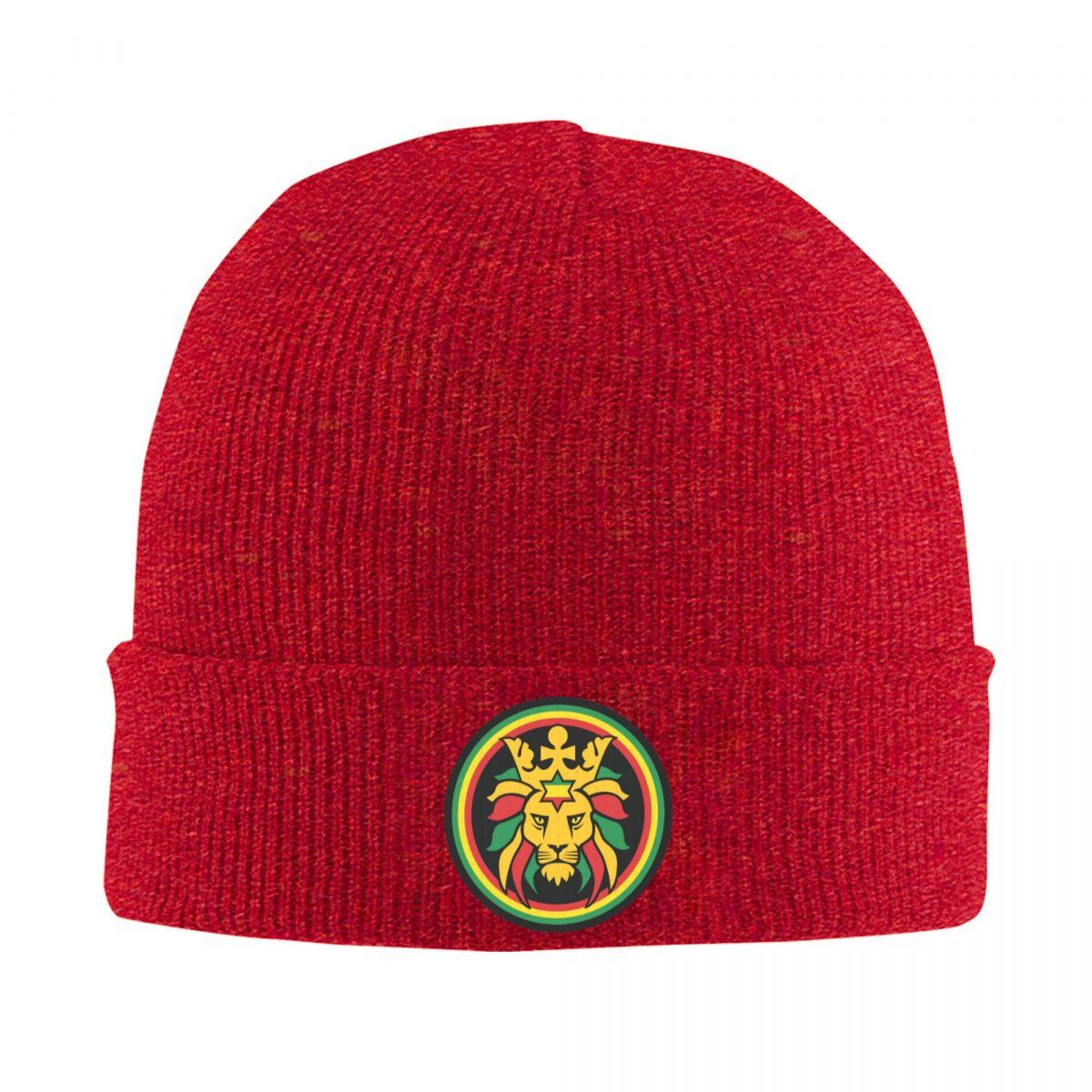 Rasta Lion Of Judah Star Of David Warm Knitted Cap Winter Knit Bonnet Hat Skullies Beanies Hip Hop Caps for Unisex One Size