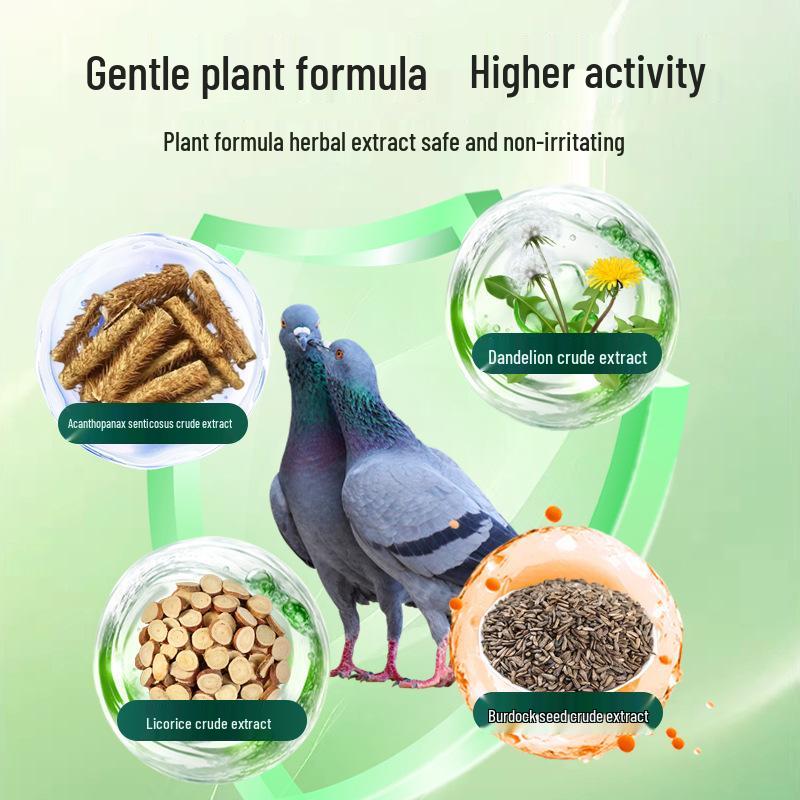 Polvere per la Salute Tricomoniasi dei Piccioni per Piccioni Viaggiatori e da Carne, Pappagalli