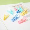 Colored Windproof Plastic Clothes and Socks Pegs