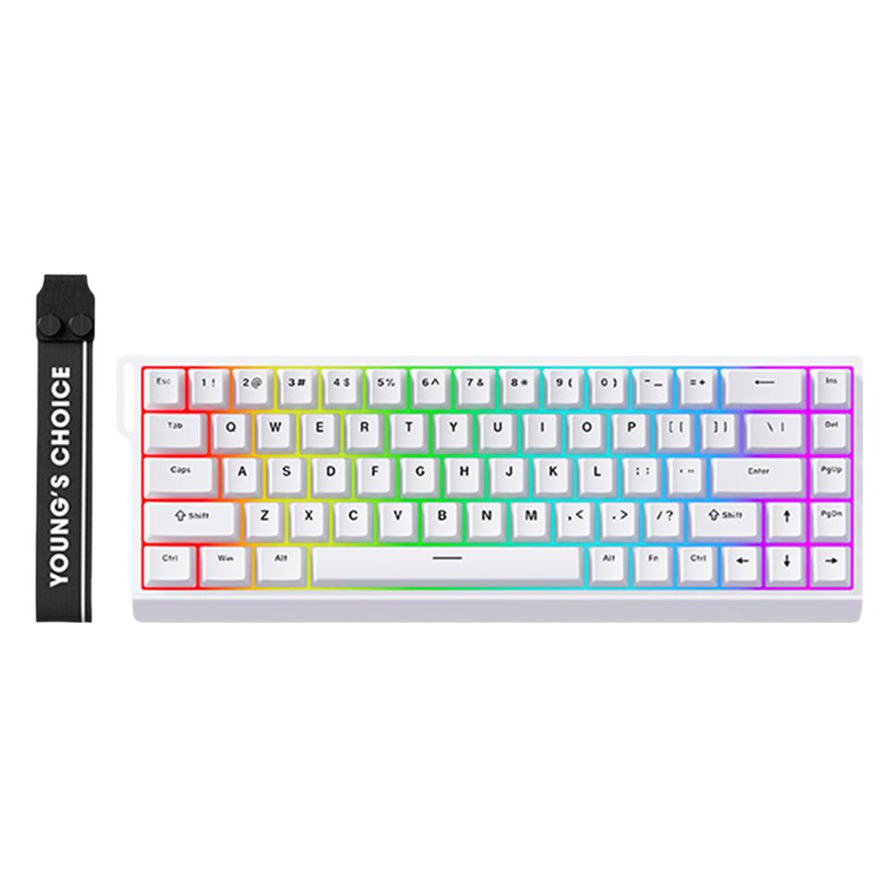 ACE 68 Magnetic Mechanical Keyboard E-sports Keyboard with 0.01mm Rapid Trigger 68 Keys 128K Sampling Rate Gaming Keyboard