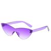 Purple Black Red Sunglasses Cateye Eyewear Women Brand Designer Small Triangle Vintage Sun Glasses Retro Sexy Cat Eye Sunglasses