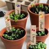Set di 14 Segnalini per Piante da Giardino Festivi, Etichette in PVC Impermeabili per Erbe, Verdura, Frutta, Cartelli da Esterno