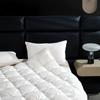 Light Luxury New Cotton Down Comforter High End Buttoned Warm Quilt Core Thick Solid Color Comfortable Blanket Soft Breathable