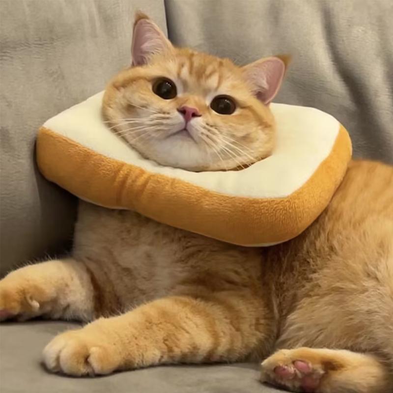 

Adjustable cat anti-licking collar toast bread slices Elizabeth Circle sterilized scarf circle soft cute stylish pet head cover S