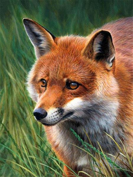 5D Diamond Painting Cross Stitch Animals Diamond Embroidery Fox Full Round Rhinestone Pictures Home Decor