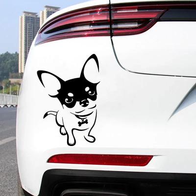 18x12.4cm Cute Chihuahua Puppy Car Sticker Auto Body Bumper Windows Motorcycle Laptop Walls Vinyl Film Decal Car Accessories