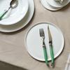 LAGUIOLE Jangnéron Laguiole 1-Person Western Cutlery Set Green (3p)