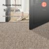 Dajiang Luxury Anti-Slip Entrance Doormat