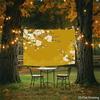 2D plane, 1 piece of golden flower background fabric, suitable for bedroom, living room and Christmas party decoration