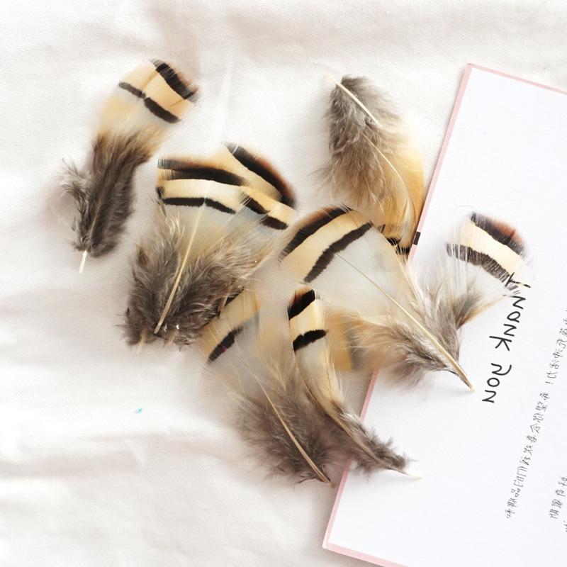 Diverse Pene de Fazan în Culori Primare Materiale DIY Handmade Cercei Băț pentru Pisică Pene Decorative