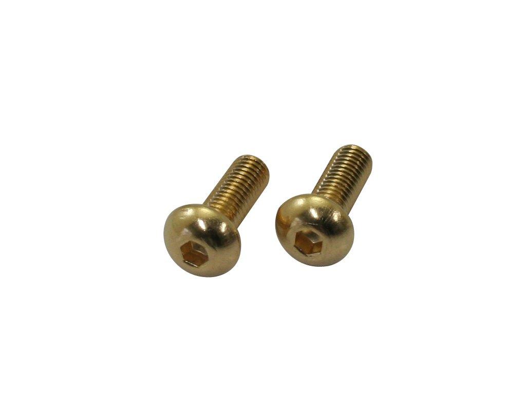 CF Posh 24K plated stainless steel hexagon socket button cap M5-0.8 x15