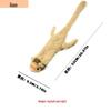 Leather Shell Interactive Chew-Resistant Plush Dog Toy