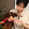 Super Cute Dachshund Plush Toy - Adorable Comfort Doll