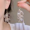 Strandurlaub Stil Hochwertig Transparent Scheibe Quaste Ohrringe Schick Einzigartig Temperament Minimalistisch Neu Damen Gepiercte Schmuckstücke