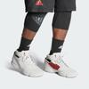 Adidas D Rose 1 Concrete Sneakers FV8057
