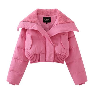Nouveau Style Manteau Court d'Hiver pour Femme Style Coréen pour Petites Personnes, Manteau et Veste Épais de Haute Qualité en Coton