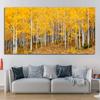 Yellow Birch Forest Canvas Painting Autumn Golden Tree Posters and Prints Landscape Pictures for Living Room Home Wall Decor