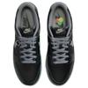 Nike Dunk Low Berlin Skate Shoes Sneakers FZ3053-001