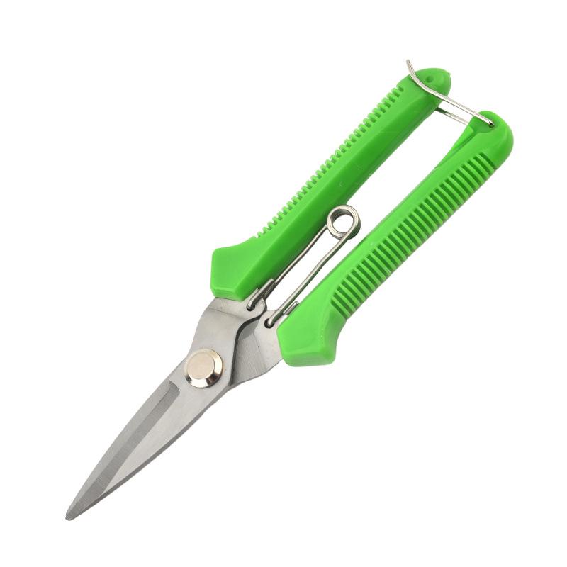 Garden Pruning Shears: Stainless Steel Fruit, Flower, Bonsai, and Branch Thinning Tool.