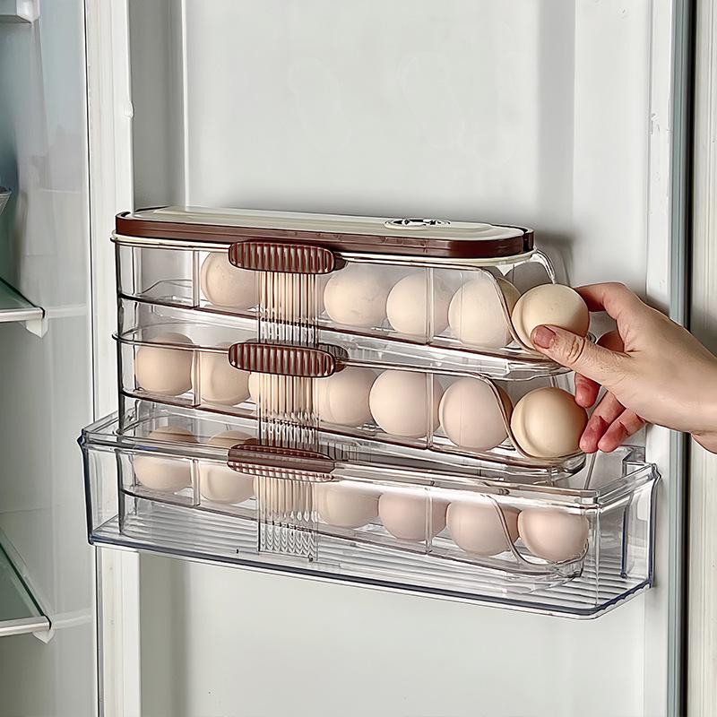 Slide-Out Multi-Layer Egg Storage Box with Handle for Refrigerator Door