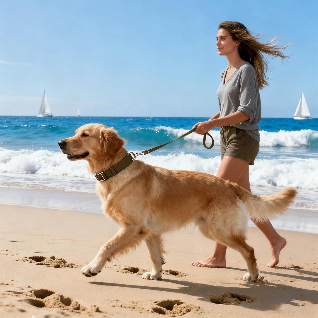 Collar For Dogs Wide Pet Traction Supplies With Leashes Wide Collar For Dogs For Walking Exercise Obedience Training Camping