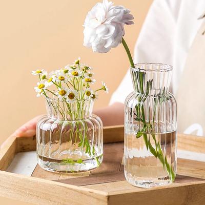 Arrangement Transparent Nordisch Kreativ Blumentopf Glasvasen Pflanzflasche Tischvase