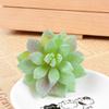 Diy Simulated Succulent Plant Hair Planting, Mini Fake Succulent Bonsai With Flowers, More Than 20 Styles Of Bn1