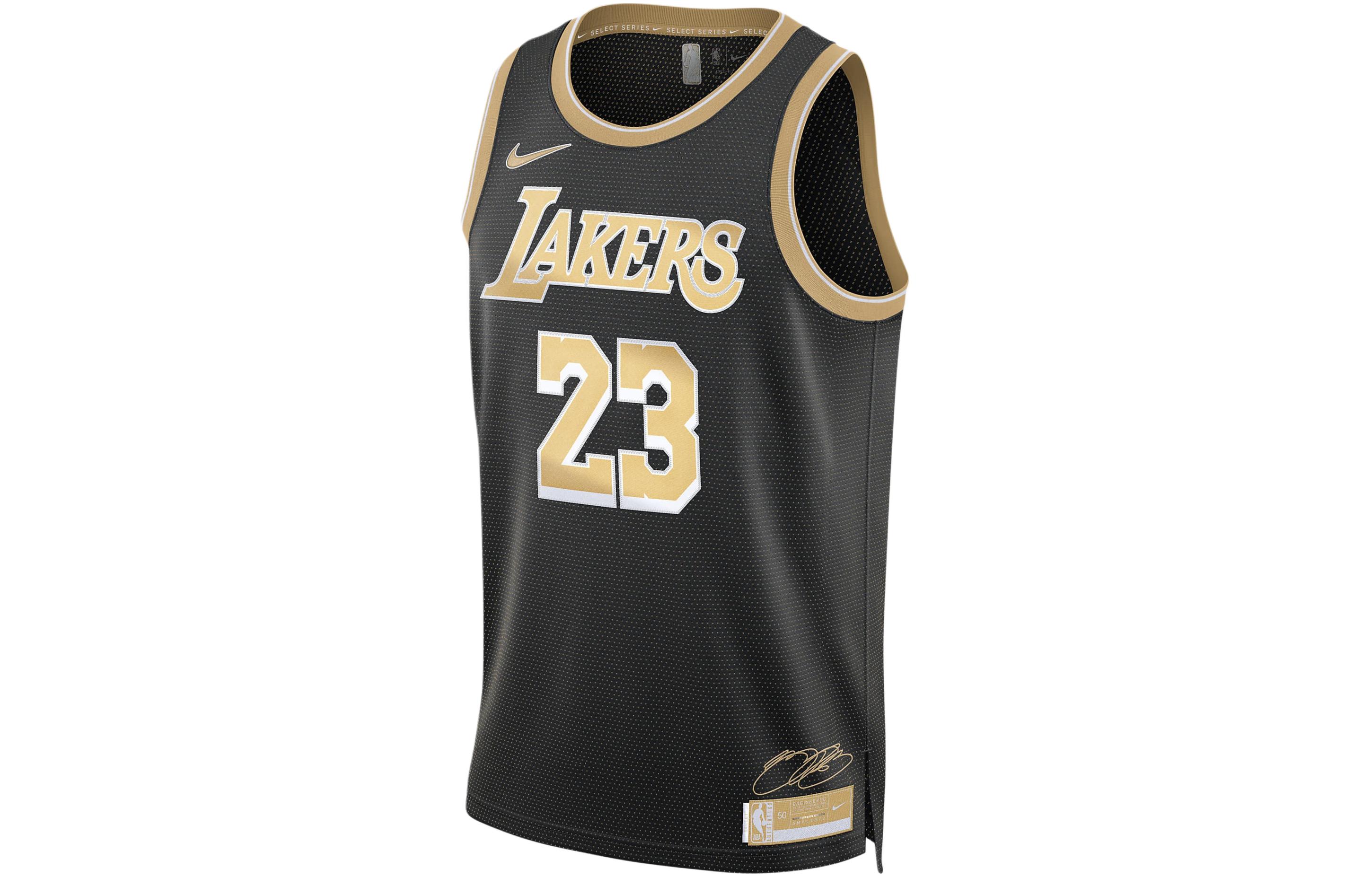 Мужская майка Nike LeBron James Los Angeles Lakers 2024 Select Series Nike Dri-FIT Nba Swingman FN5913-053 M